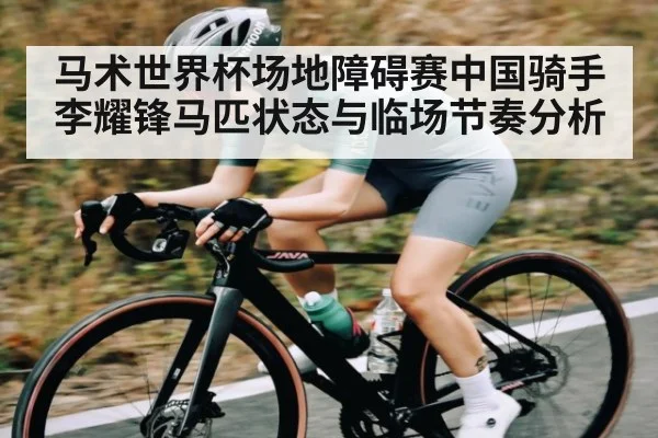 马术世界杯场地障碍赛中国骑手李耀锋马匹状态与临场节奏分析